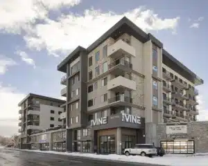 theVine_2401-03 386